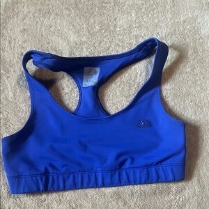 The North Face Vibrant Blue Sports Bra